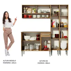 Cozinha Compacta Madesa Emilly Winter com Armário Vidro Reflex e Balcão Rustic Cor:Rustic